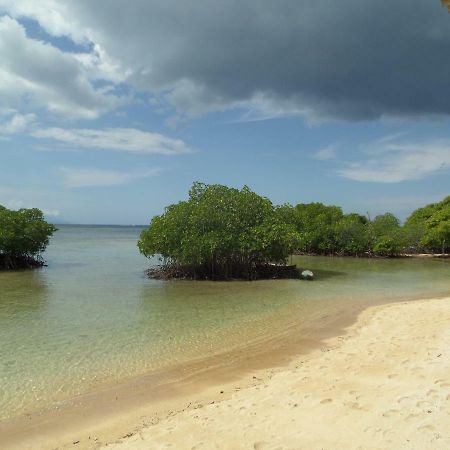 Mangrove Paradise Retreat Lembongan Buitenkant foto