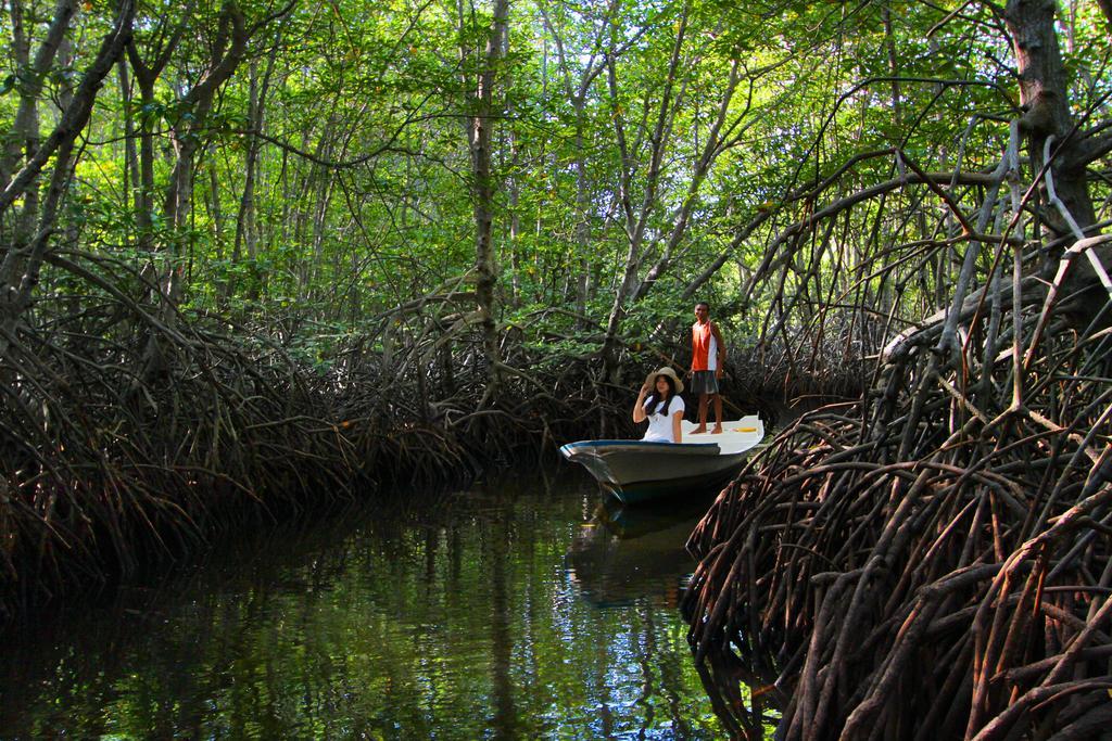 Mangrove Paradise Retreat Lembongan Buitenkant foto
