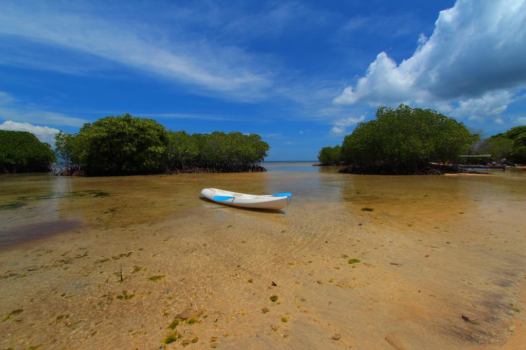 Mangrove Paradise Retreat Lembongan Buitenkant foto