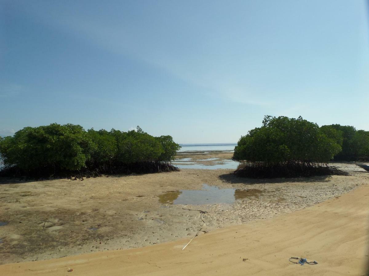 Mangrove Paradise Retreat Lembongan Buitenkant foto